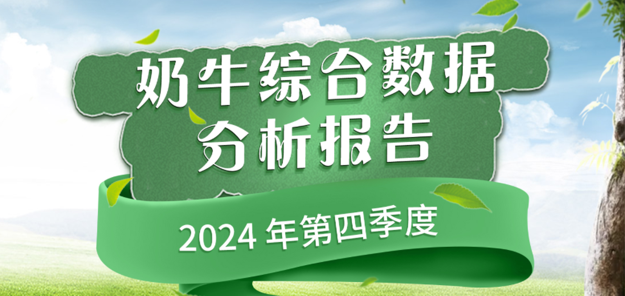 奶牛综合数据分析报告（2024年第四季度报告） 1.16